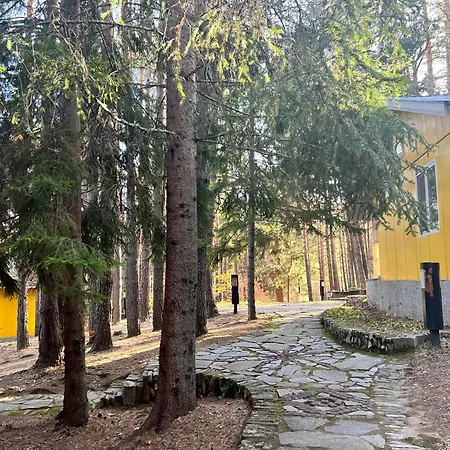 почивна база пиринпласт בית נופש