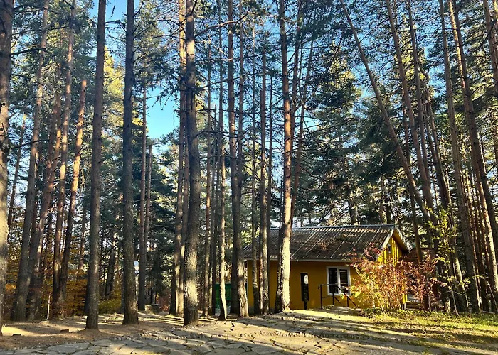 почивна база пиринпласт *